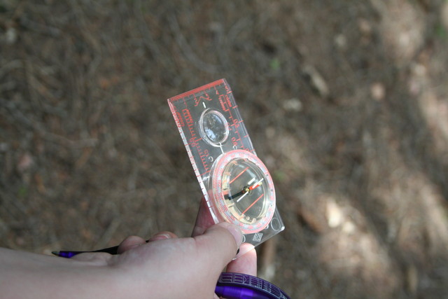 Fotka 234/349 (15:54:46)