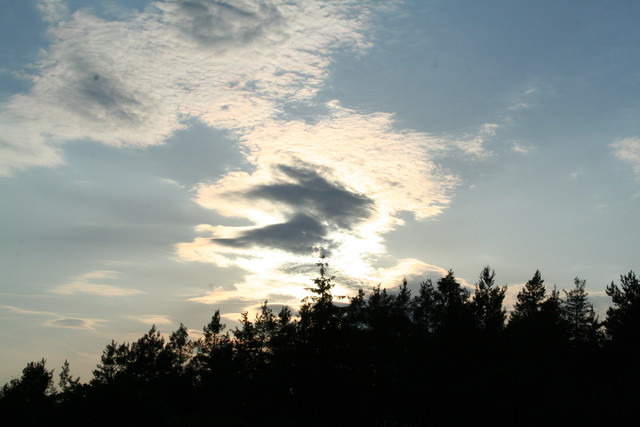 Fotka 270/349 (19:53:47)
