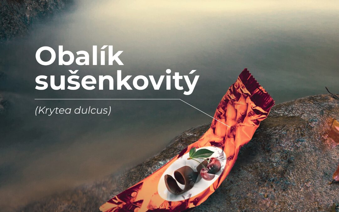 Není zvěř jako zvěř!