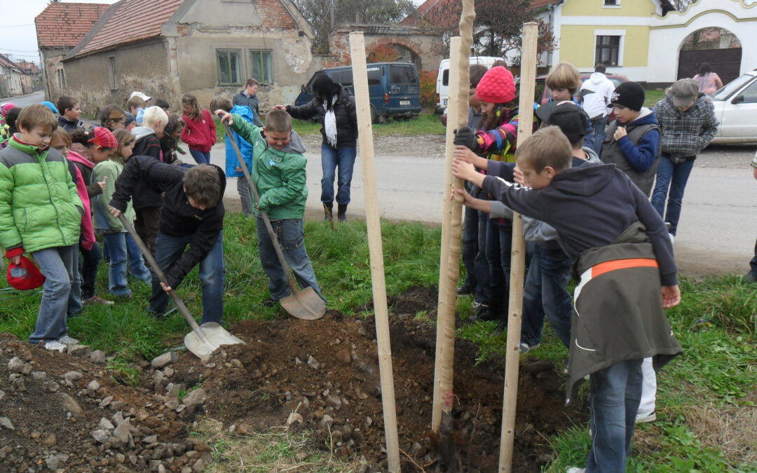 Pamětní lípa sv.&nbsp;Anežky Přemyslovny i&nbsp;v&nbsp;Hýskově.