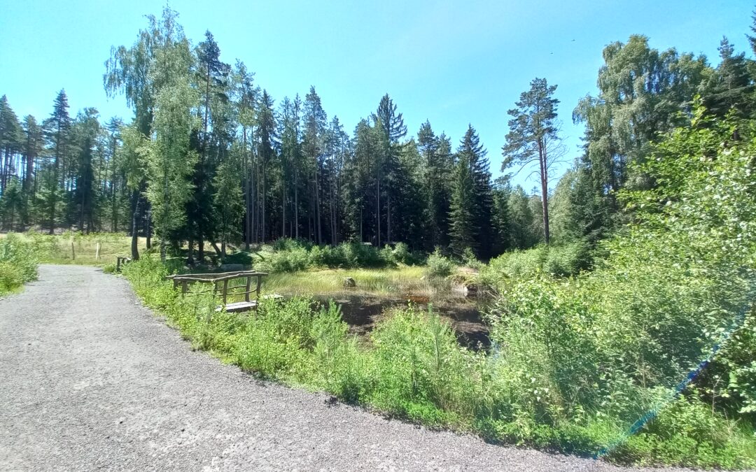 Environmentální soutěž „Vyčisti les“ ?